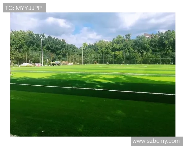 香港足球明星如何推动澳门足球发展与交流的探索之旅